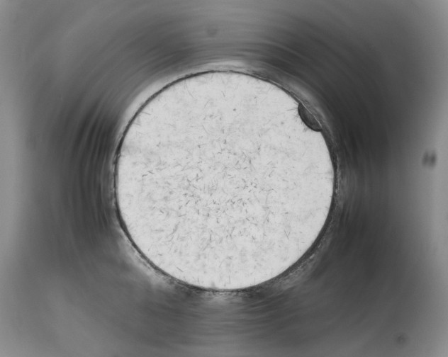 X0000114060808200911161127