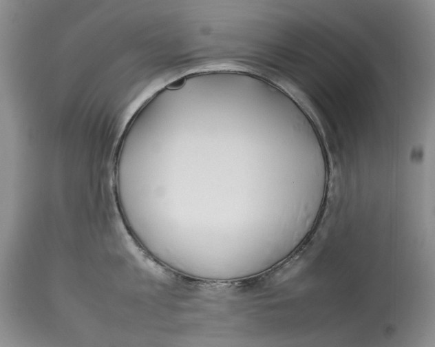 X0000114060813200911161127