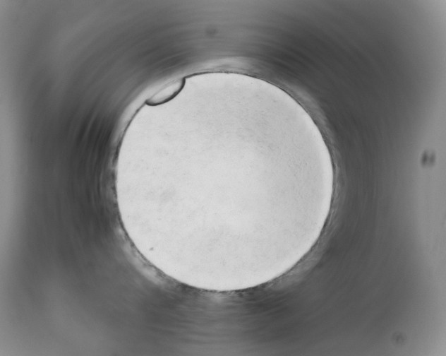 X0000114060816200911161127