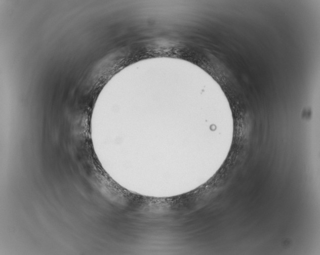 X0000114060820200911161126