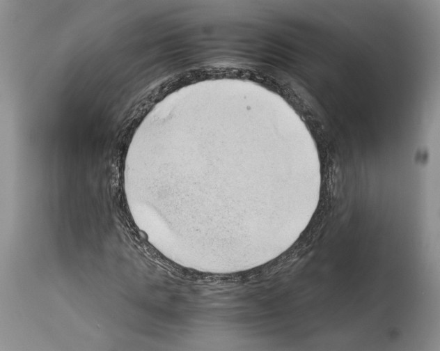 X0000114060821200911161126