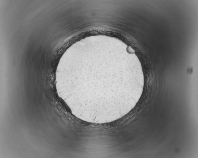 X0000114060822200911161126