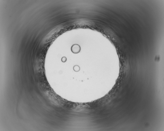 X0000114060824200911161126