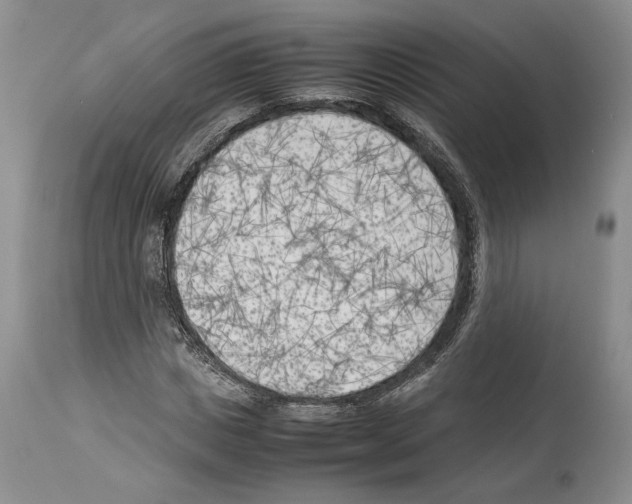 X0000114060825200911161126