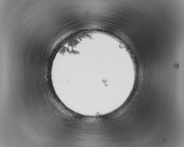 X0000114060826200911161127