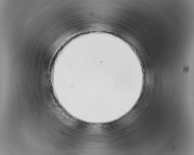 X0000114060828200911161127