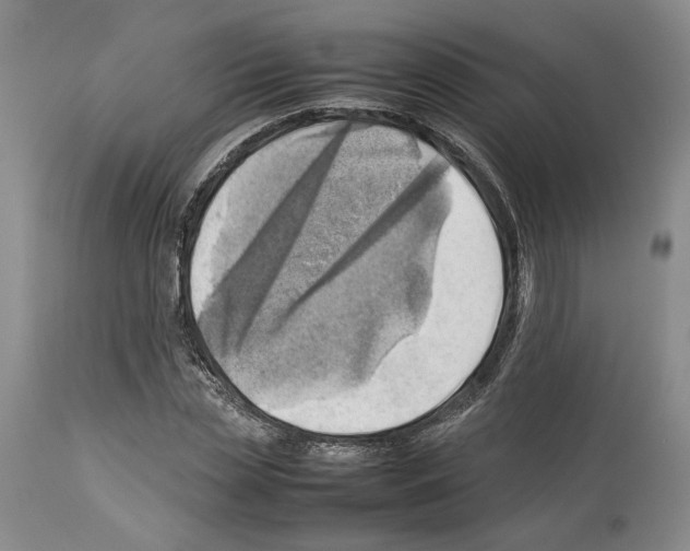 X0000114060829200911161127