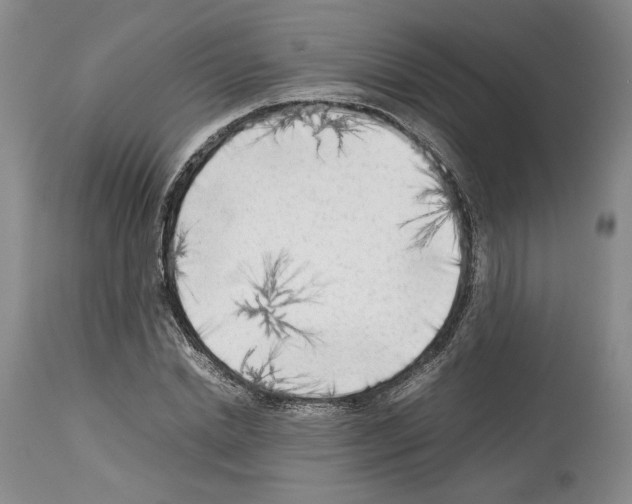 X0000114060830200911161127