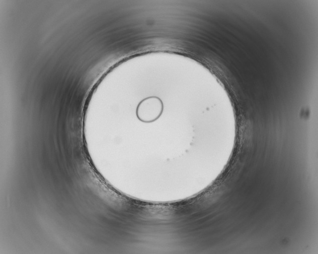 X0000114060836200911161127