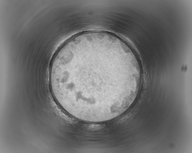 X0000114060839200911161127