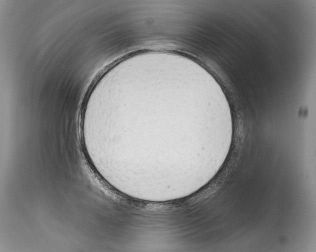 X0000114060840200911161127