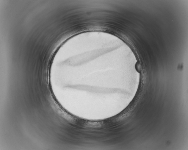 X0000114060843200911161127