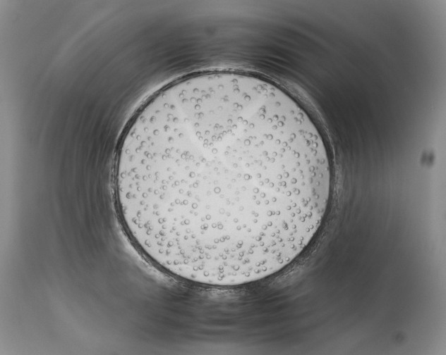 X0000114060847200911161127