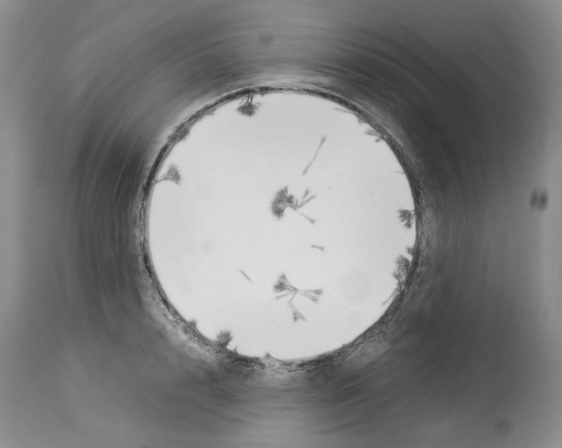 X0000114060848200911161127