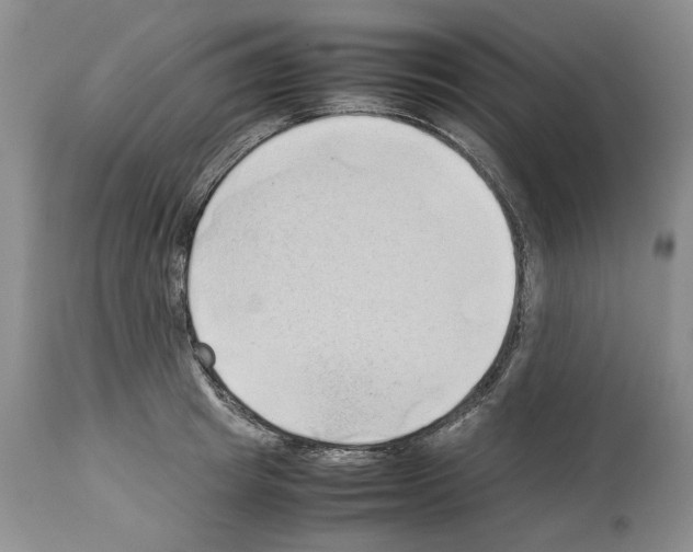 X0000114060849200911161127