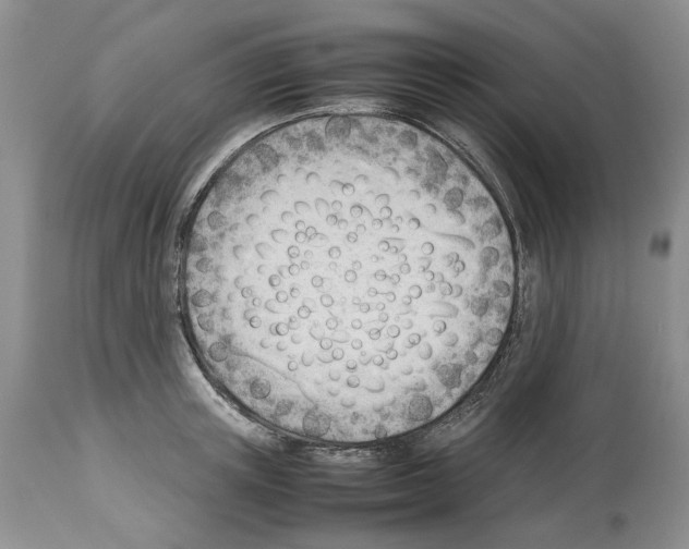 X0000114060851200911161127