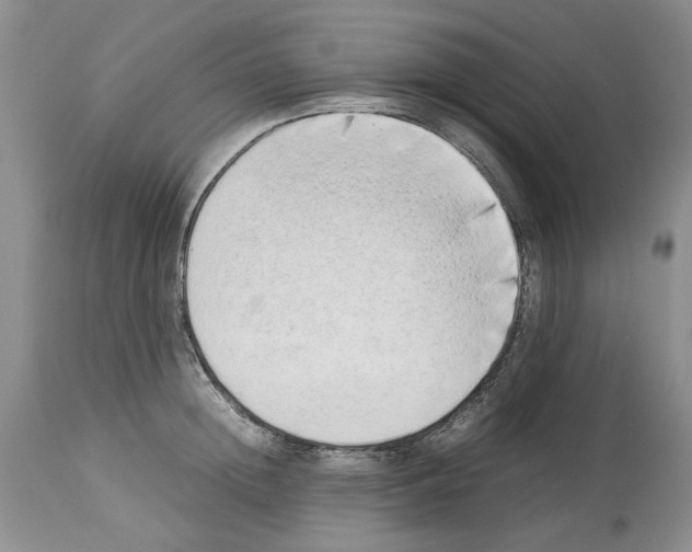 X0000114060852200911161127