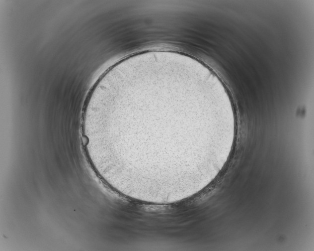 X0000114060853200911161127