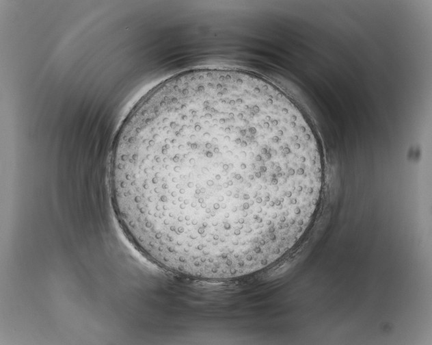 X0000114060855200911161127