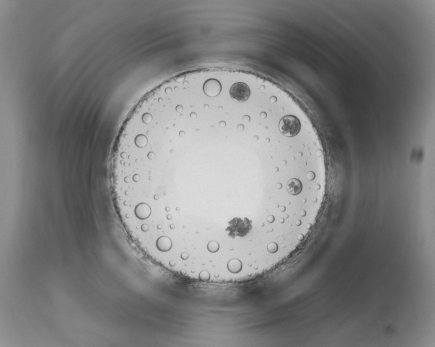 X0000114060856200911161127