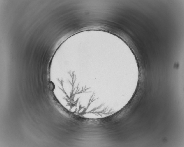 X0000114060858200911161127