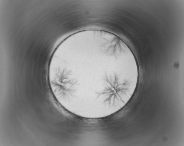 X0000114060862200911161127