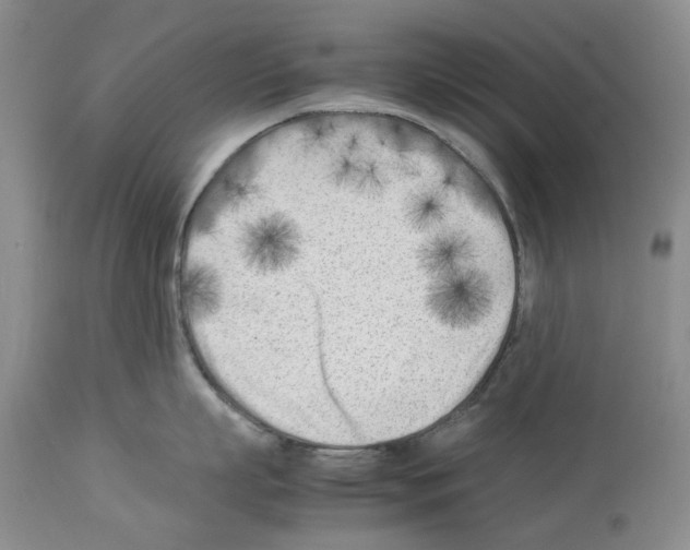 X0000114060863200911161127