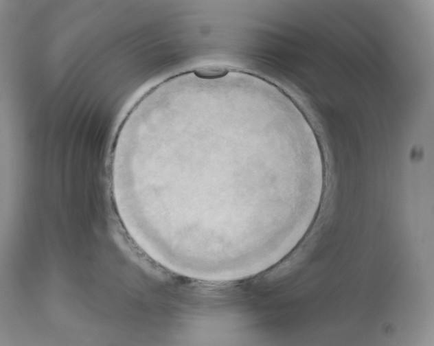 X0000114060864200911161127