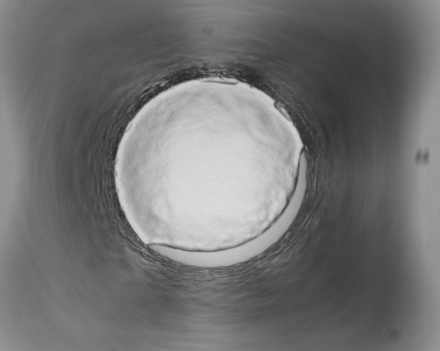 X0000114060865200911161126