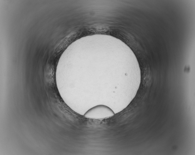 X0000114060866200911161126