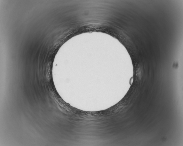 X0000114060868200911161126