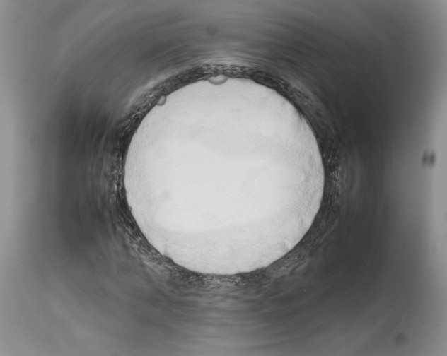 X0000114060870200911161126