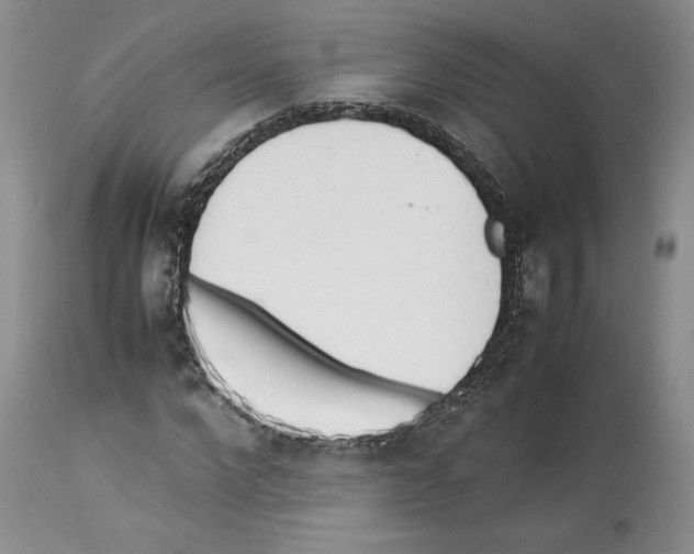 X0000114060872200911161126