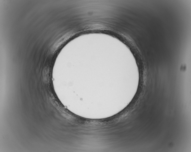 X0000114060873200911161126