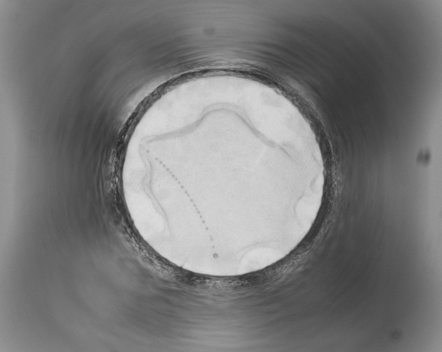 X0000114060875200911161126