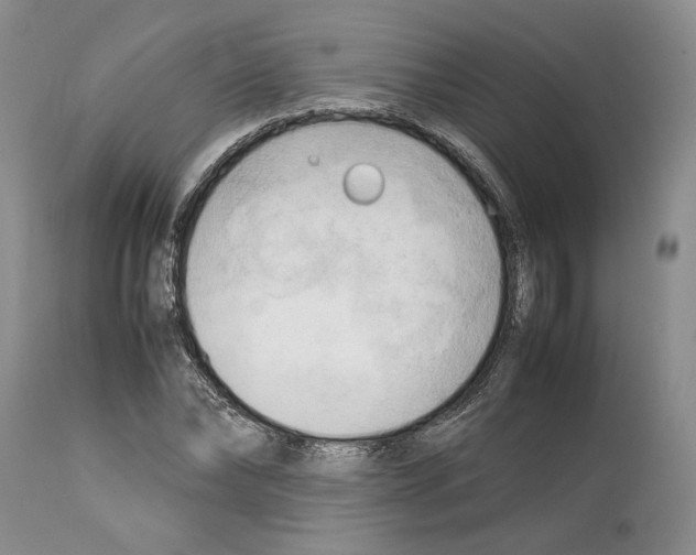 X0000114060878200911161126