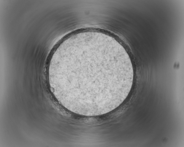 X0000114060879200911161126