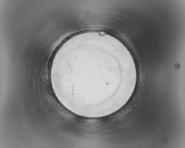 X0000114060883200911161126