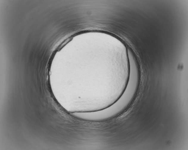 X0000114060885200911161126