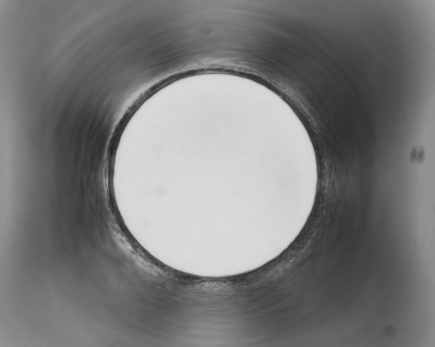 X0000114060888200911161126