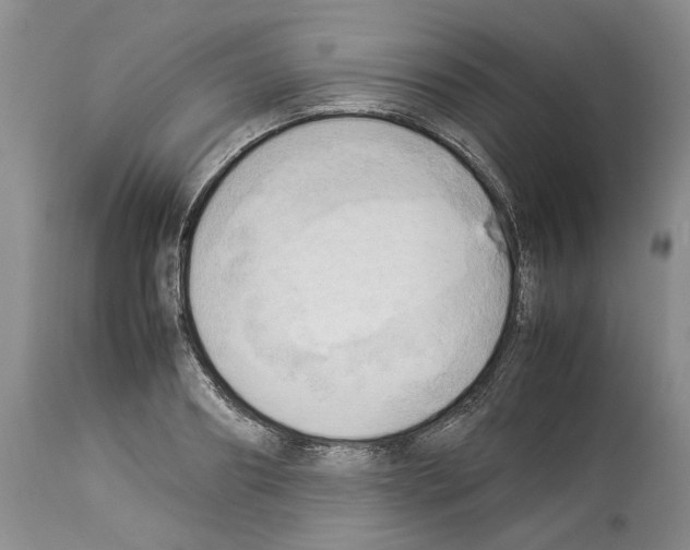 X0000114060890200911161126