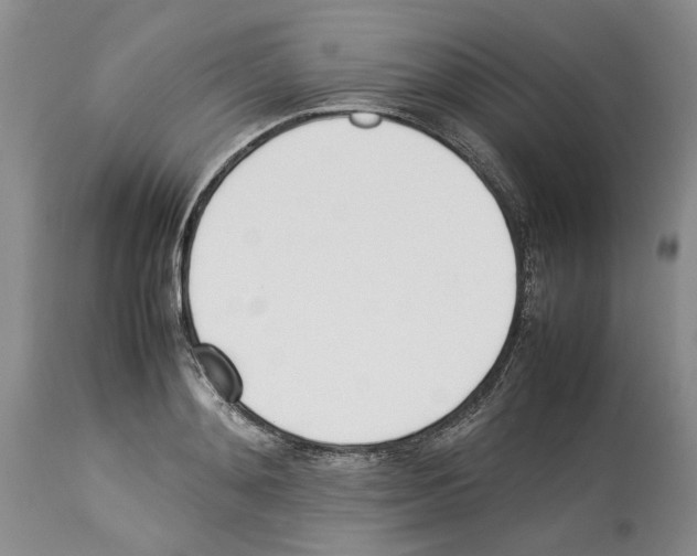 X0000114060892200911161126