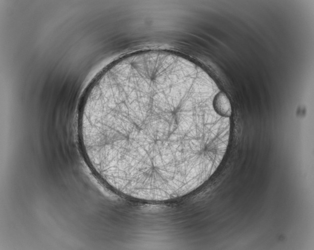 X0000114060894200911161126