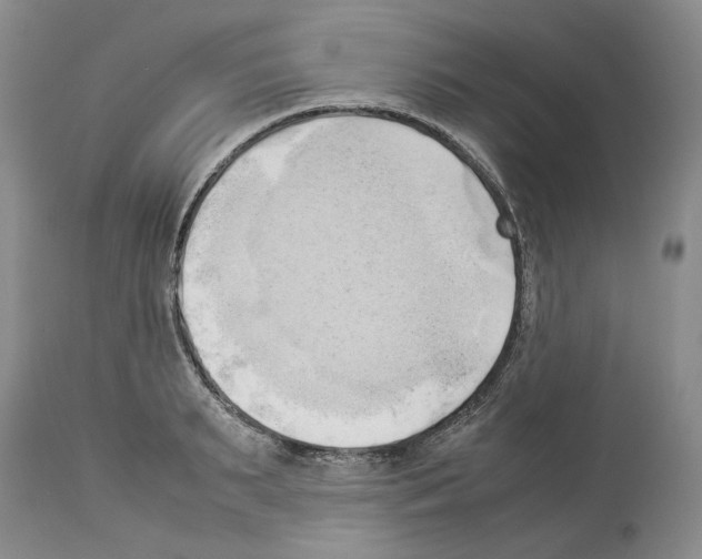 X0000114060895200911161126