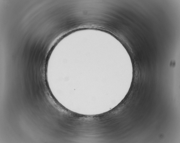 X0000114060896200911161126