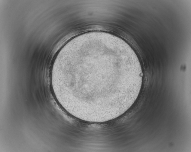 X0000114060898200911161126