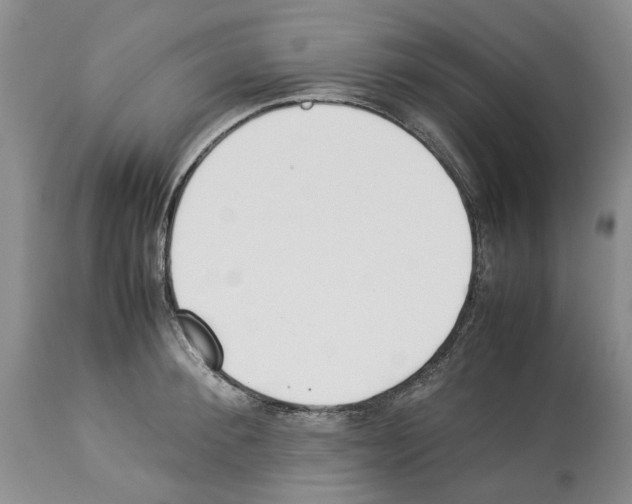 X0000114060900200911161126