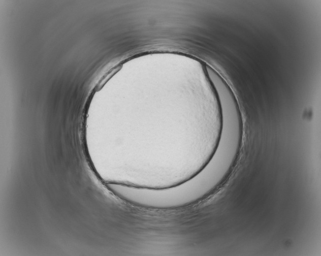 X0000114060901200911161126