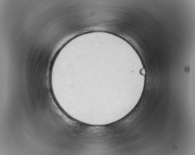 X0000114060902200911161126