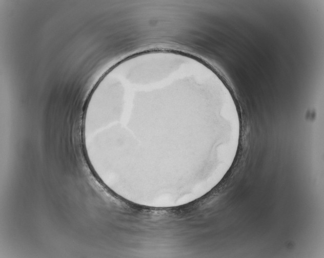 X0000114060903200911161126